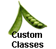 Custom  
 Classes