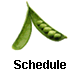 Schedule