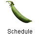 Schedule