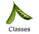 Classes