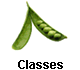 Classes