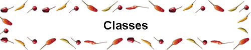 Classes