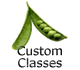 Custom Classes